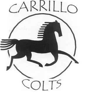 300x349 Welcome To Colt Tv!