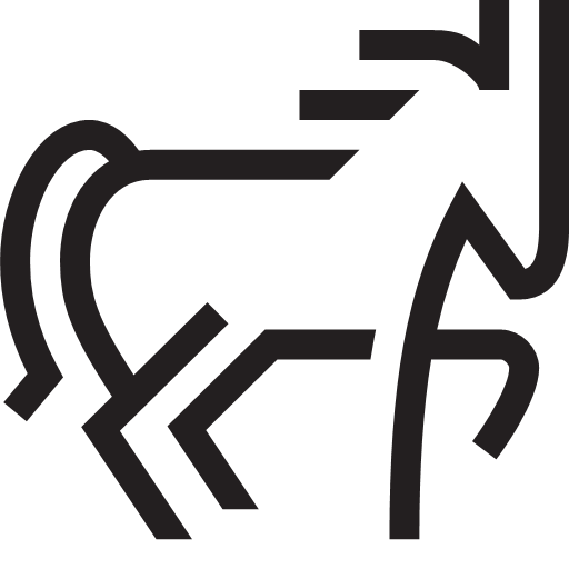 512x512 Horse Icon