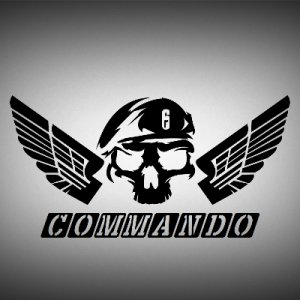 300x300 Thecommandotv Gamer's Resume On Game Rainbow Six Siege