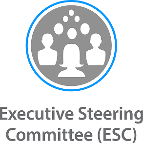 293x293 Executive Steering Committee And Program Management Office