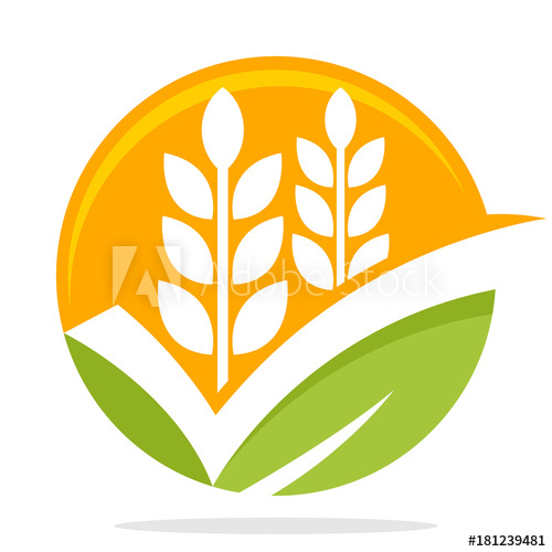 500x500 Icon Logo With The Concept Of Smart Choice Good Choice