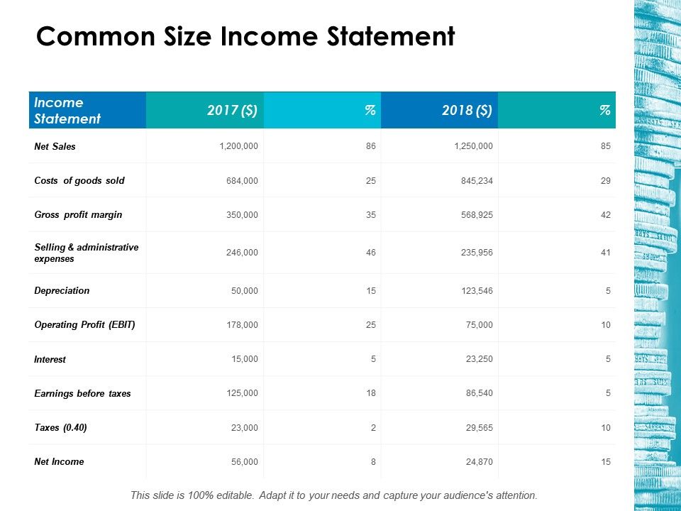 960x720 Common Size Income Statement Ppt Icon Show Templates Powerpoint