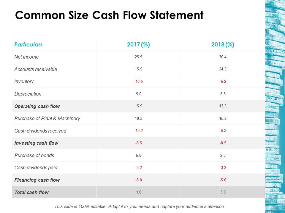 960x720 Common Size Cash Flow Statement Ppt Icon Shapes Presentation