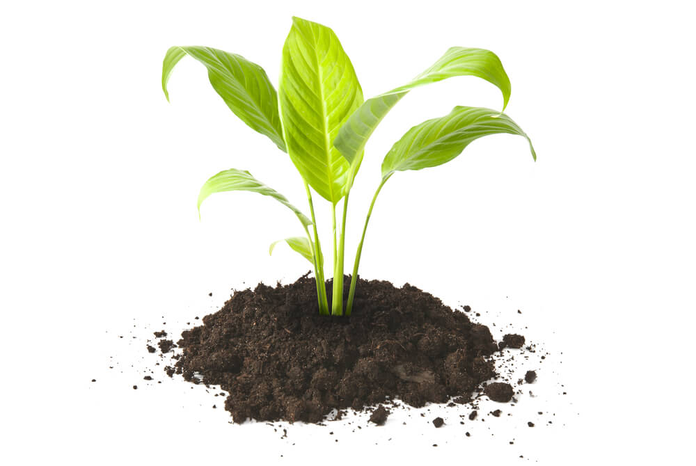 1000x670 Products Services Northwest Compost