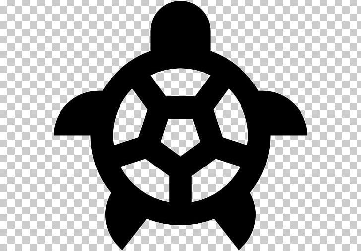 728x508 Pukekohe Afc Computer Icons Bledisloe Park Family Guy Back