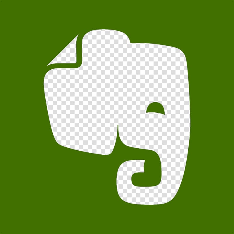 800x800 Computer Icons Evernote World Wide Web Mobile App, Elephant Icon