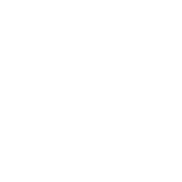 256x256 White Monitor Icon