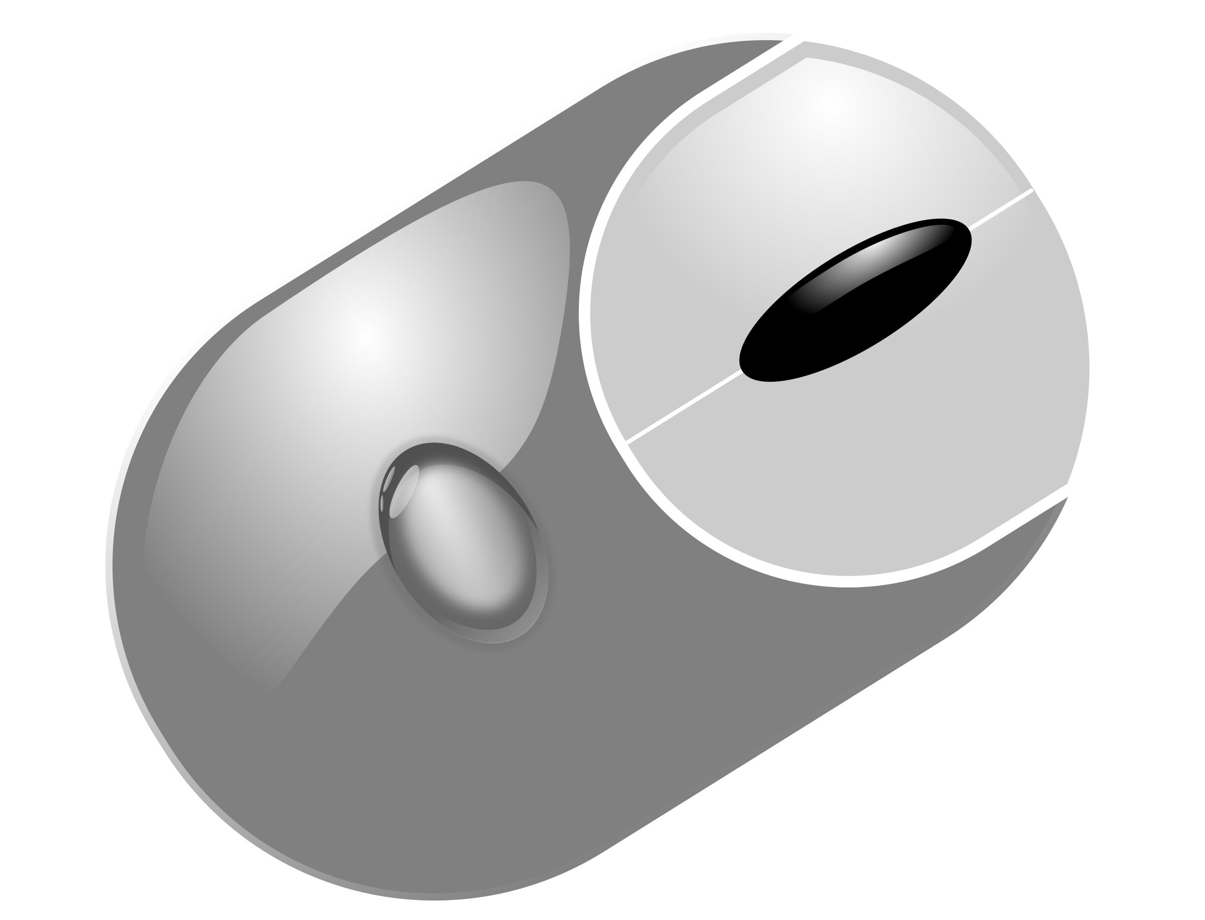 2400x1832 Computer Mouse Icons Png