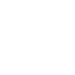 256x256 White Conference Icon