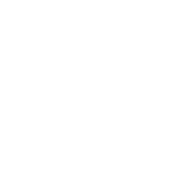 644x572 Confidential Icon