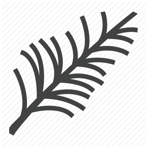 512x512 Conifer, Coniferous, Pine Icon