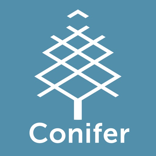 512x512 Conifer Icon