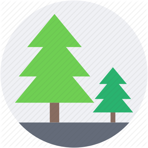 512x512 Conifer Trees, Fir Trees, Forest, Park, Pine Trees Icon