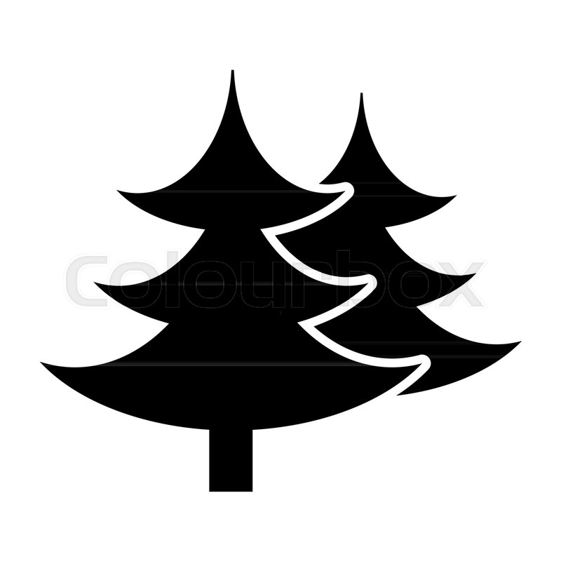 800x800 Fir Tree Solid Icon Spruce Vector Stock Vector Colourbox