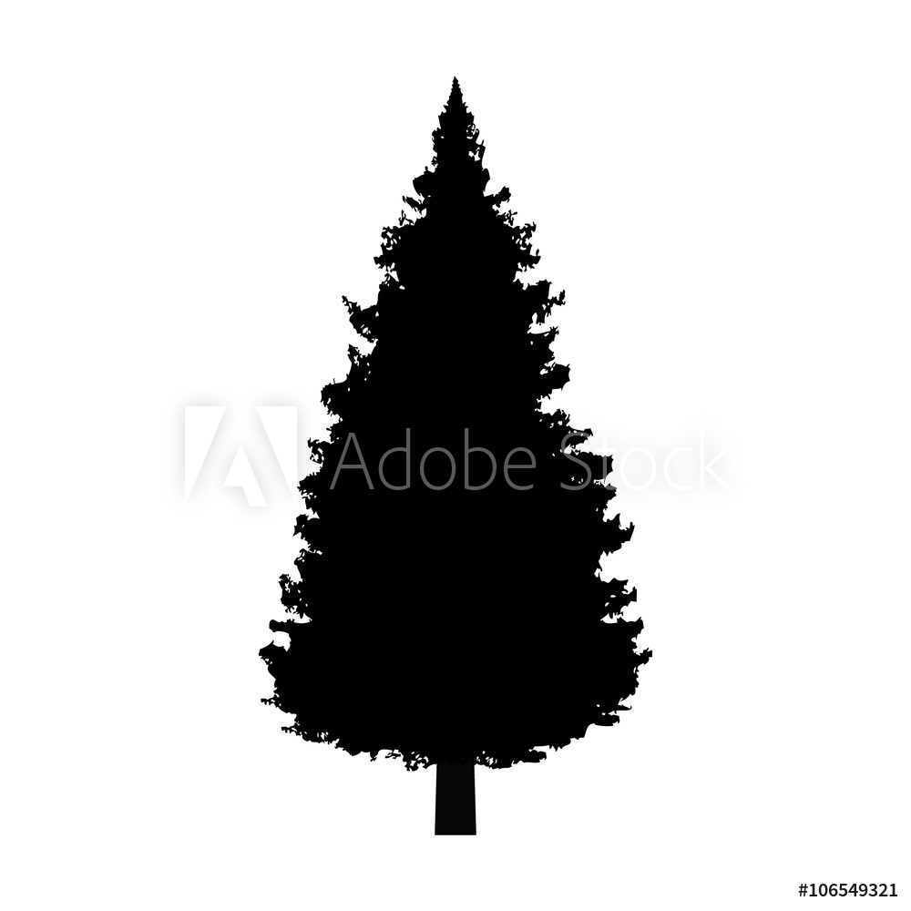 1000x1000 Fotografie, Obraz Evergreen Conifer Pine Tree Flat Icon For Apps