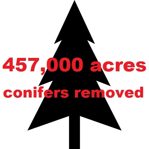 512x512 Conifer Icon