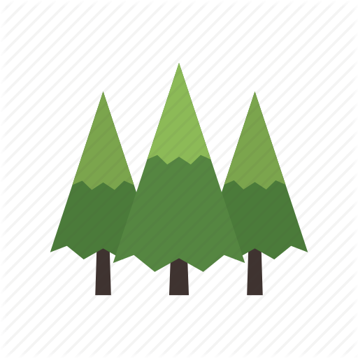 512x512 Canada, Conifer, Evergreen, Forest, Nature, Pine, Tree Icon