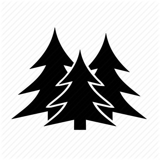 512x512 Cedars, Conifers, Fir Trees, Forest, Pine Trees, Trees, Woods Icon