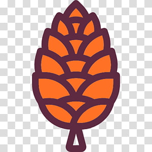 300x300 Conifer Cone Pine Deciduous Autumn, Mature Deciduous Canopy