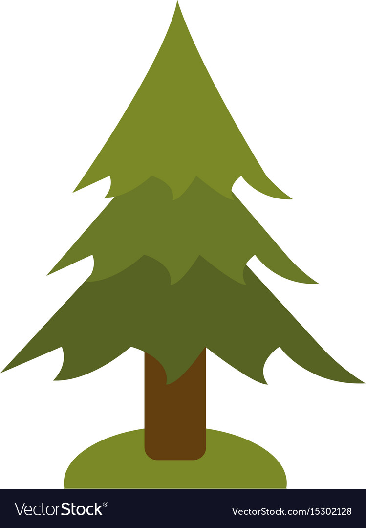 749x1080 Pine Tree Icon