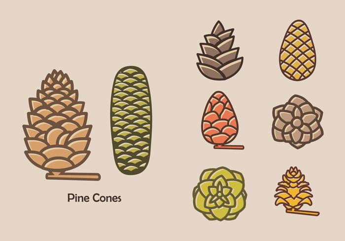 700x490 Colorful Pine Cones Vector Icon
