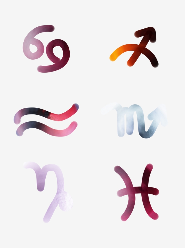 640x856 Commercial Starry Constellation Icon Pisces Capricorn Gemini