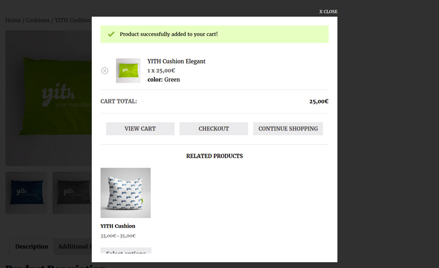 900x550 Premium Version Settings Archives
