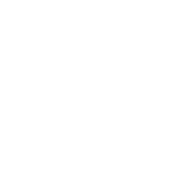 256x256 White Cook Icon