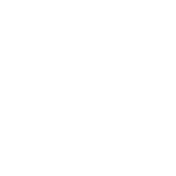 256x256 Free White Copy Link Icon