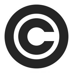 256x256 Symbol Copyright Icon Iconexperience