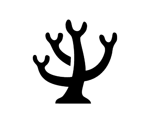 485x403 Coral Icon In Android Style This Coral Icon Has Android Kitkat