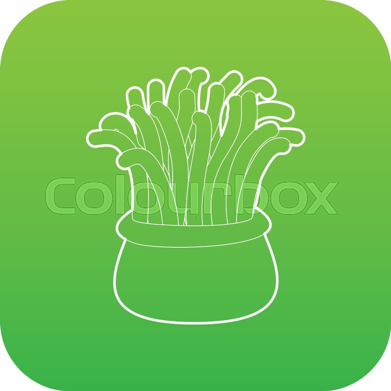 800x800 Coral Icon Green Vector Isolated On Stock Vector Colourbox
