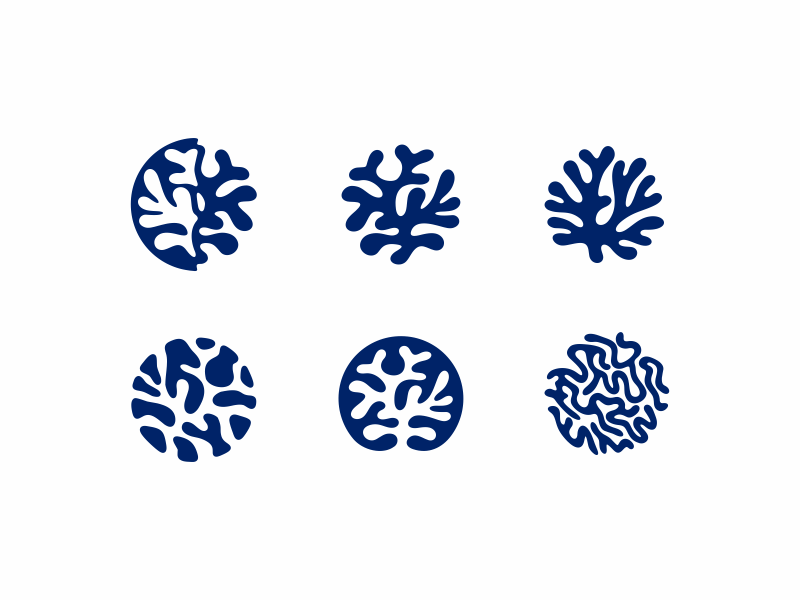 800x600 Coral Icons Set