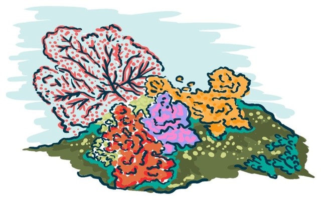 640x400 Coral, Icon Print