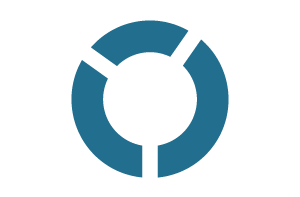 300x197 Icon Core Cheap Asp Net Hosting