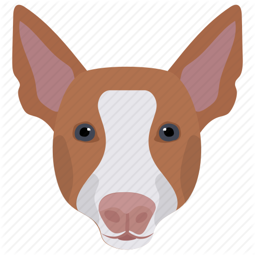 512x512 Animal, Cattle Herding Dog, Dog, Pembroke Welsh, Welsh Corgi Icon