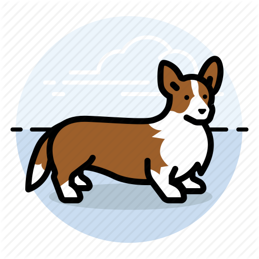 512x512 Corgi, Dog, Show Icon