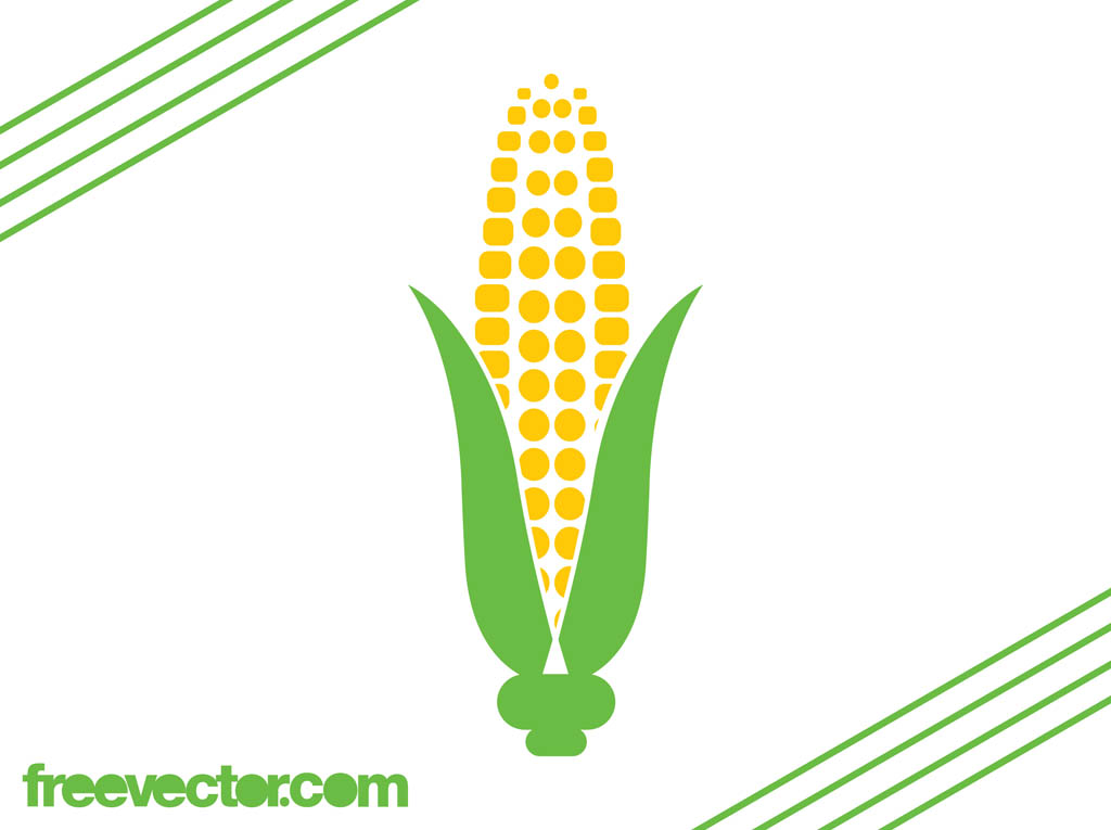 1024x765 Corn On The Cob Icon Vector Art Graphics