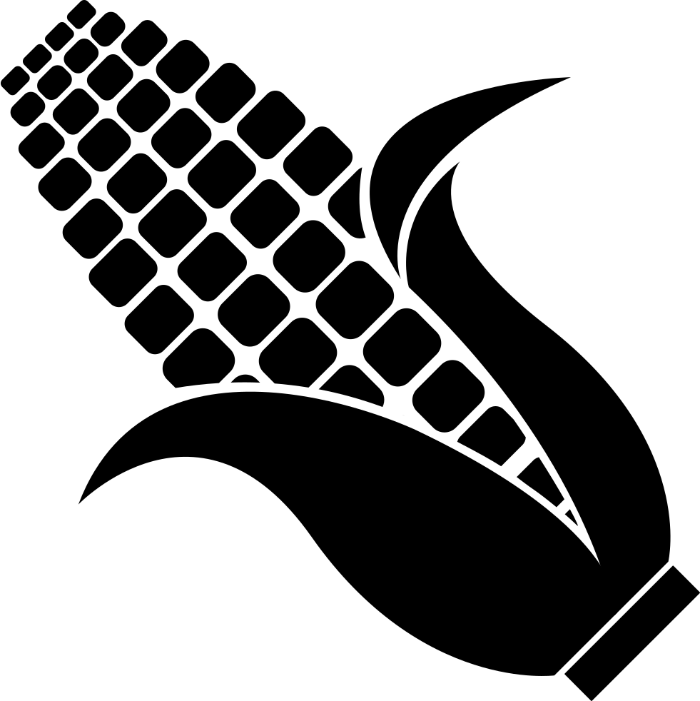 981x982 Corn Png Icon Free Download
