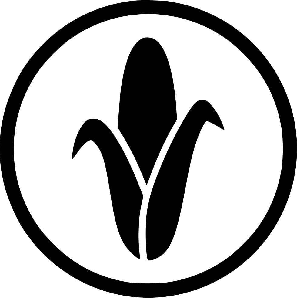 980x982 Corn Png Icon Free Download