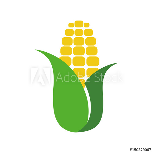 500x500 Corn Food Symbol Icon Vector Illustration Graphic Design