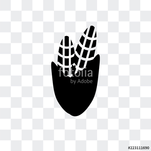 500x500 Corn Icon Isolated On Transparent Background Modern And Editable