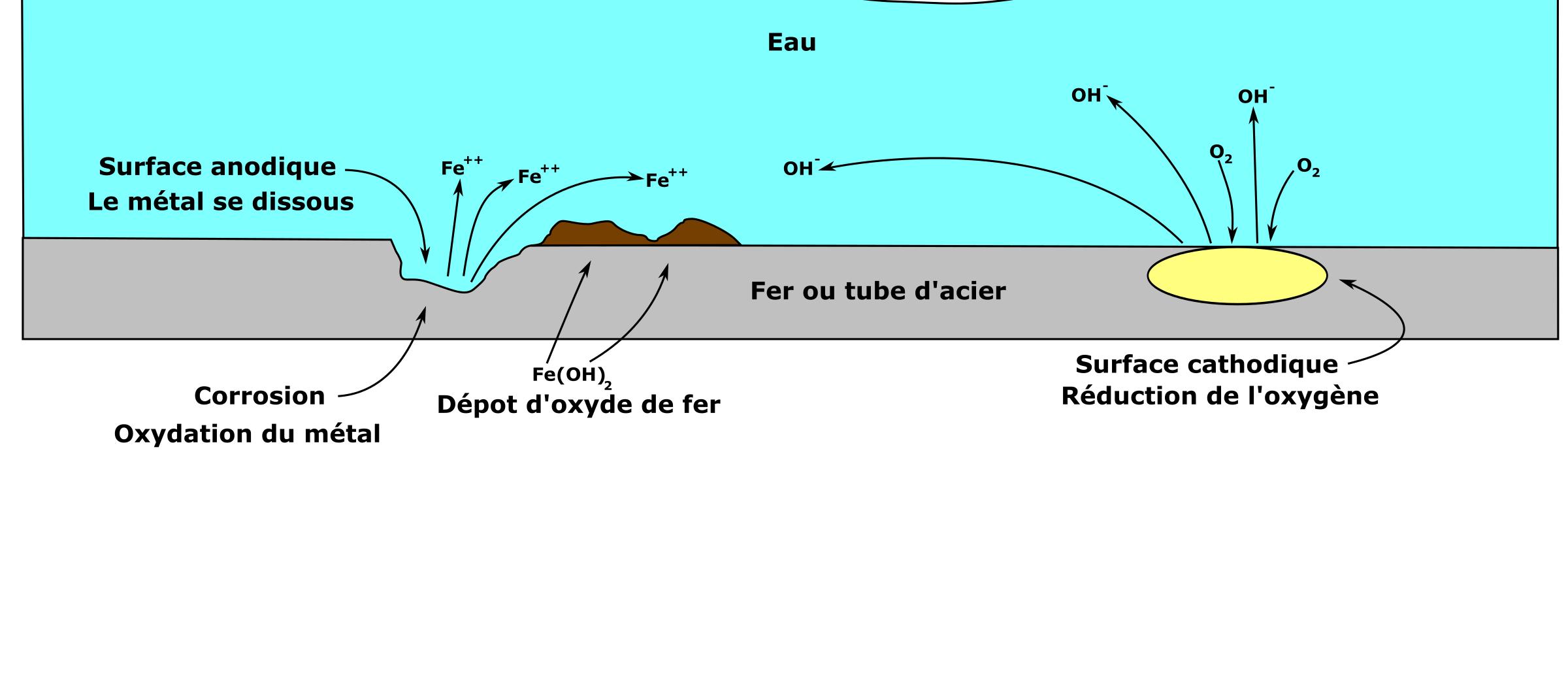 2400x1059 Cellule De Corrosion Icons Png