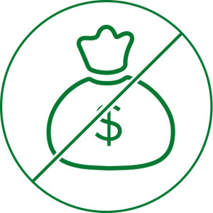 300x300 Cost Effective Icon