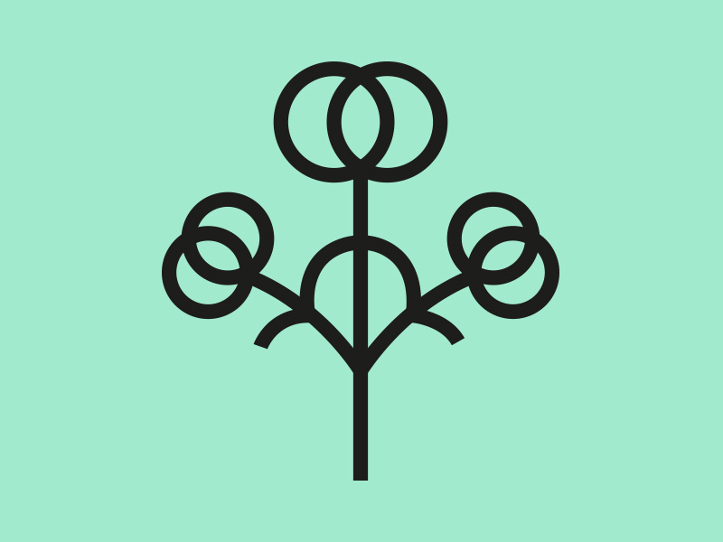 Cotton Icon 800x600 Cotton Icon