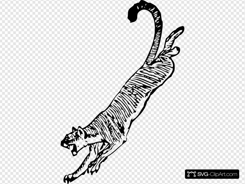 800x600 Cougar Clip Art, Icon