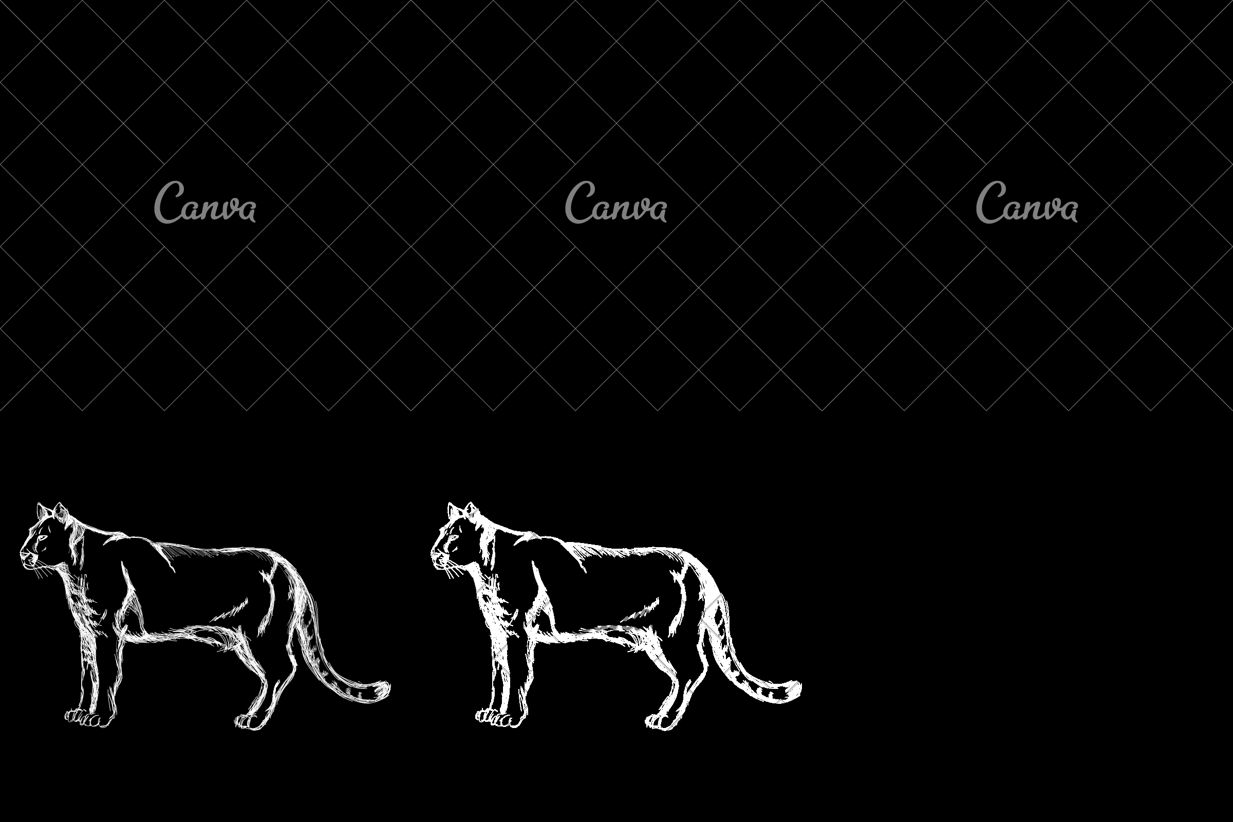 2400x1600 Mountain Lion Cougar Icon