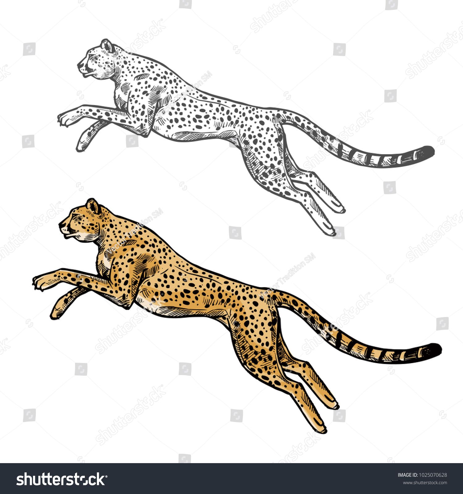 1500x1600 Pin On Art