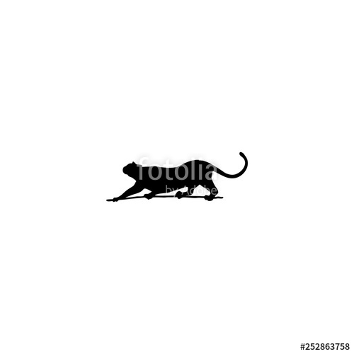 500x500 Cougar Icon Vector Cougar Sign On White Background Cougar Icon