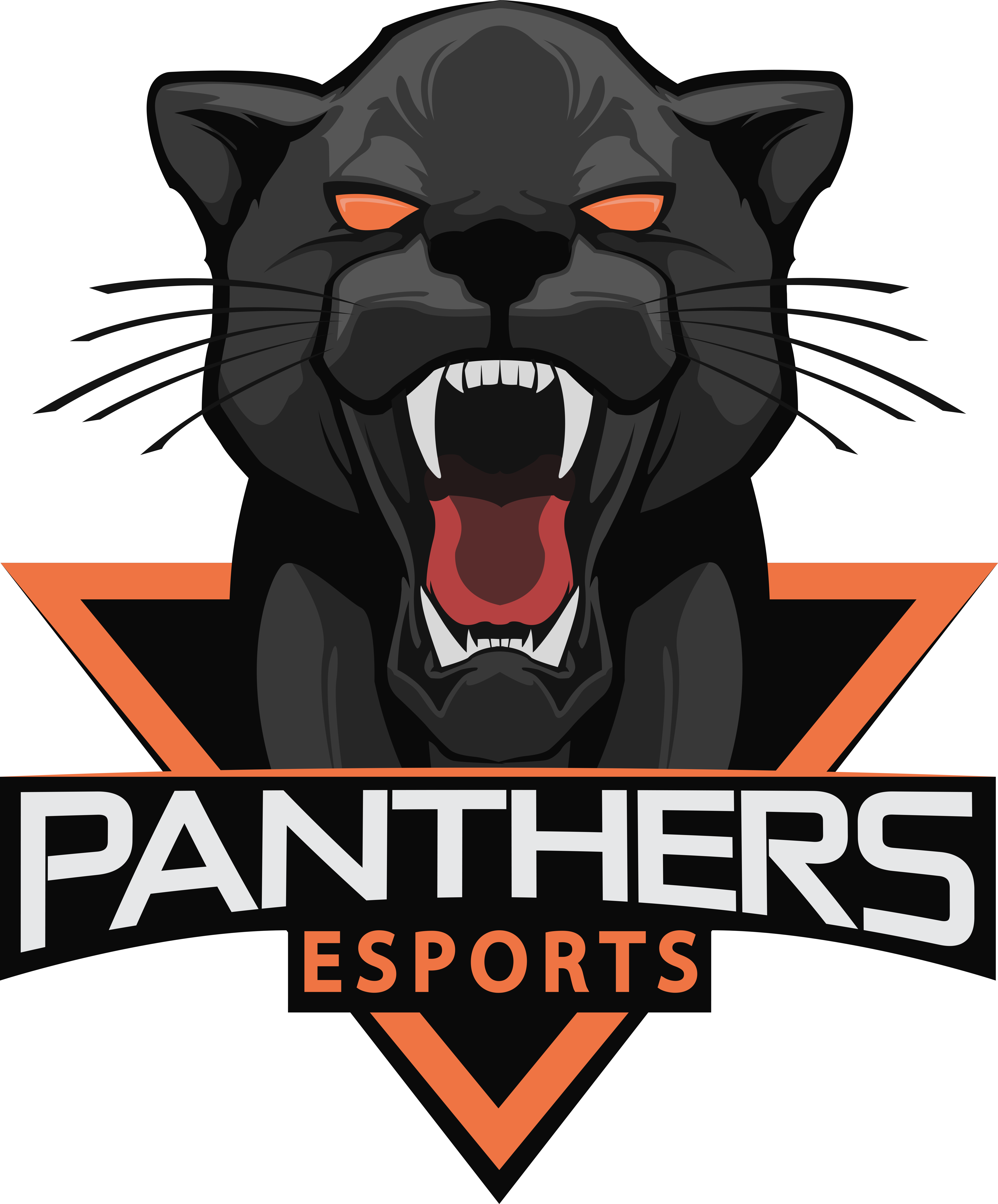 4859x5864 Download Free Counter Strike Panther Offensive Global Whiskers